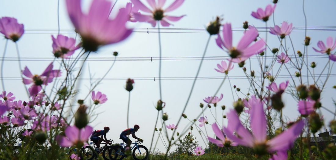 环鄱阳湖国际自行车赛在南昌市高新区鄱阳湖畔举行，自行车选手在骑行中（2019年9月28日摄）。新华社记者 周密 摄